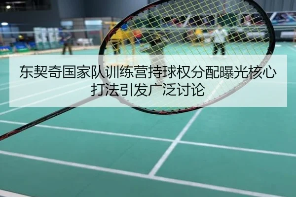 东契奇国家队训练营持球权分配曝光核心打法引发广泛讨论