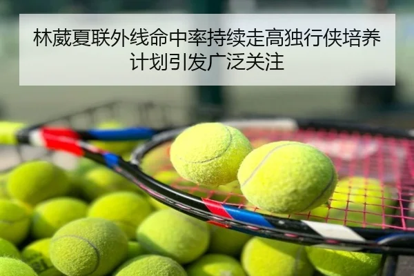 林葳夏联外线命中率持续走高独行侠培养计划引发广泛关注